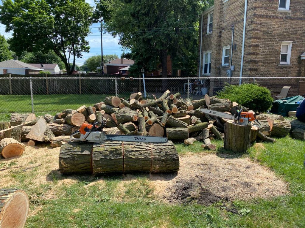 Cut tree logs, chainsaws and a remaining stump after emergency tree removal at a residential property in Blue Island, Illinois.