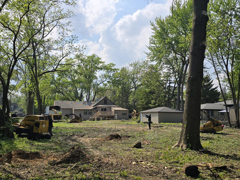 Residential property in Blue Island after professional tree removal and lot clearing by Prime Tree Care, Inc.