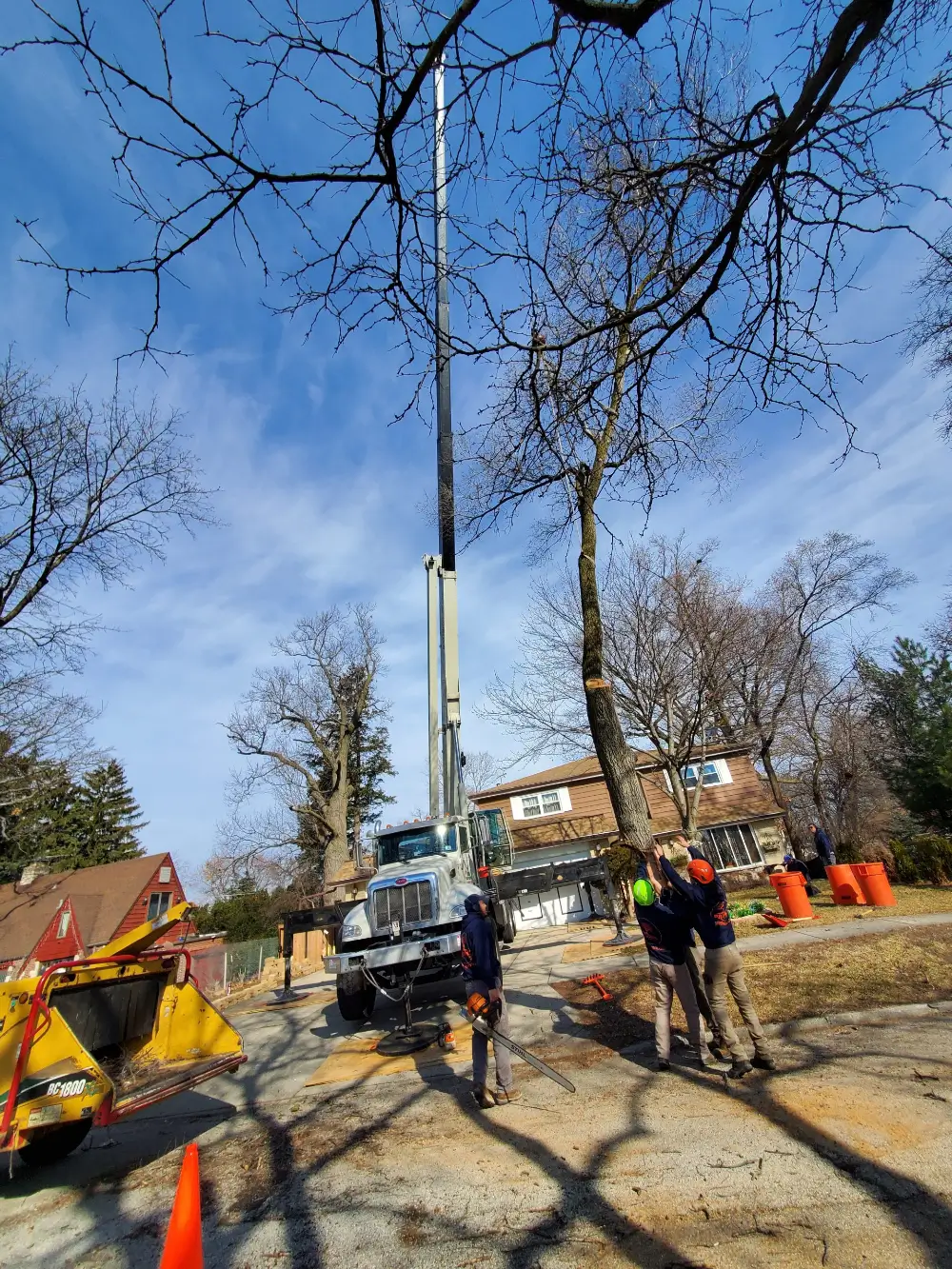 Prime Tree Care crew using a crane and safety equipment for residential tree removal in Blue Island, Illinois.